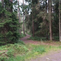 14_Gumböle_Mummiksen metsäpolku